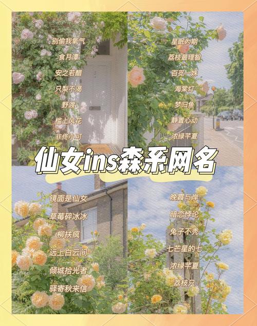 《英雄联盟》ins森系小众男网名介绍,森系魅力一网打尽