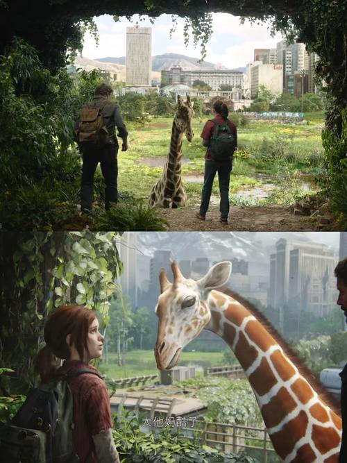 《最后生还者重制版》有什么区别？和原版的区别对比视频,最后生还者在线观看完整版免费观看