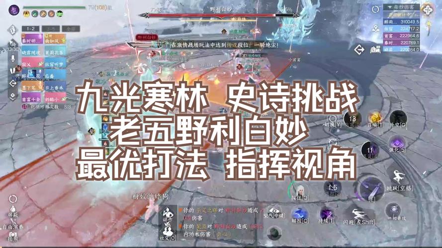 逆水寒手游野利白妙史诗挑战打法攻略,网易逆水寒手游官网