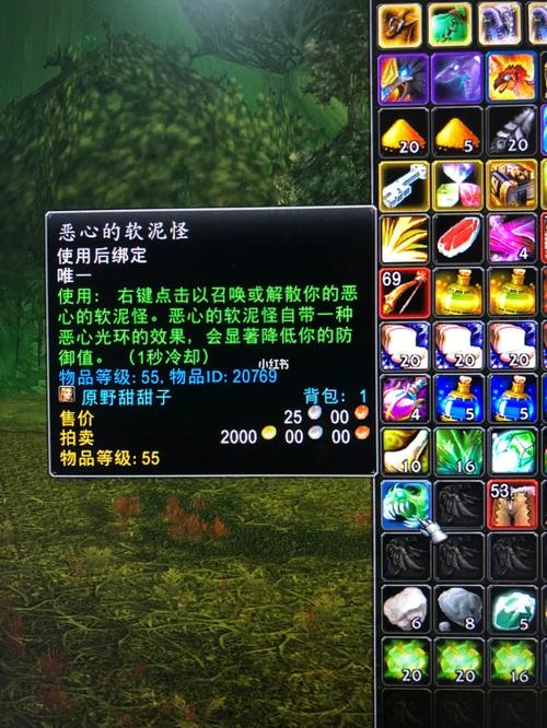 《魔兽世界》11.0致我爱的所有软泥成就完成攻略,致我爱的所有软泥目标宏