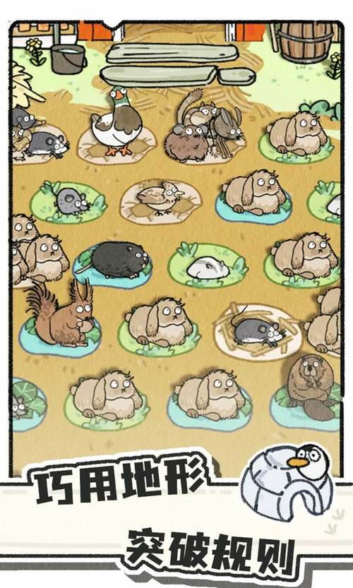 《猫神牧场》新手指南和流程攻略,猫神牧场电脑下载中文版