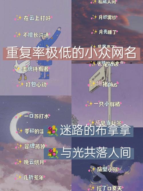 《英雄联盟》意境很美但小众的网名分享,探寻独特小众的电竞风采