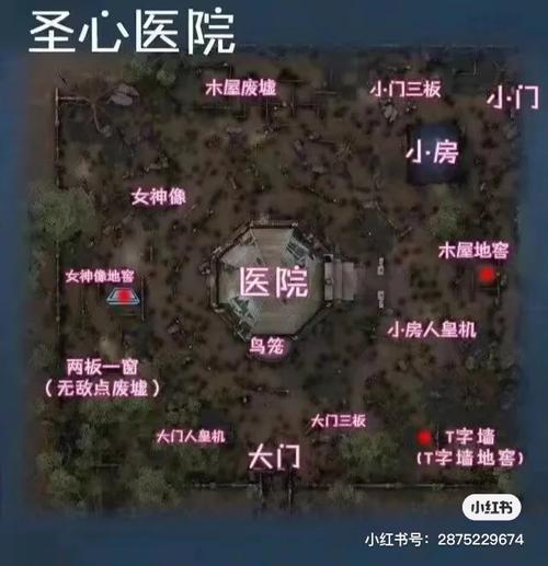 第五人格圣心医院地窖在哪？
