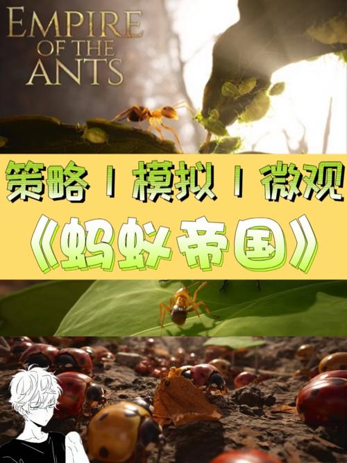 《蚂蚁帝国》发售时间表分享,《蚂蚁帝国》的奇幻旅程