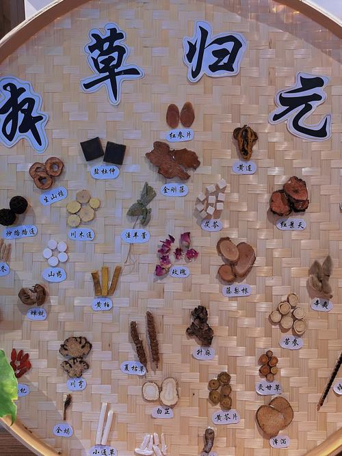 《本草归元录》将于2025年1月17日正式上线??,穿越时空，沉浸古风世界