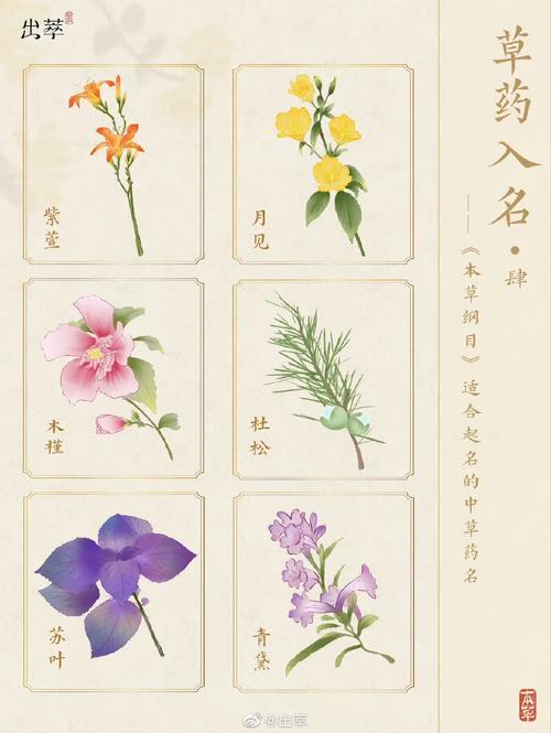 《本草归元录》将于2025年1月17日正式上线??,穿越时空，沉浸古风世界