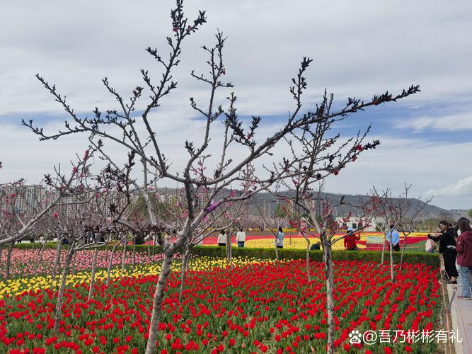 《燕云十六声》清河花海隐藏任务花下眠流程攻略,燕云十六声清河花海“花下眠”奇遇任务攻略解析