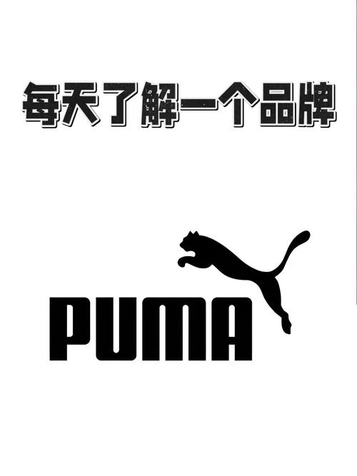 《人间地狱》puma瞄准方法,揭秘生存与逆袭之道