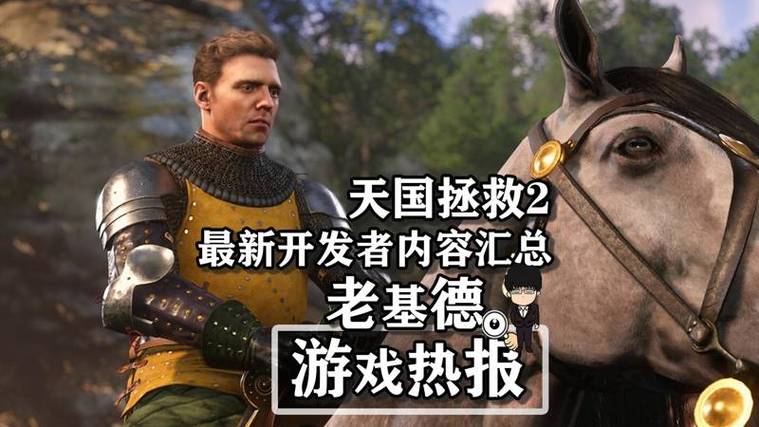 《天国拯救2》盲区调整方法,轻松提升游戏体验