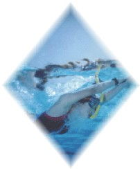 《西游无双》PVE与PVP模式深度剖析：策略各异，玩法多元