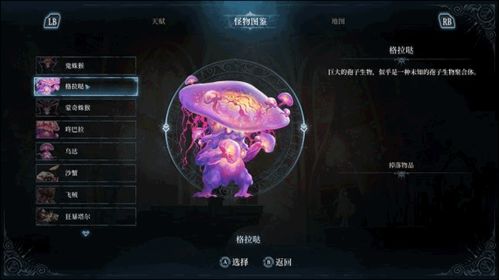 《心渊梦境》：角色培养深度解析，探寻成长之路的奥秘