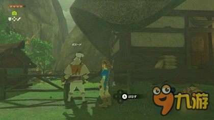 《塞尔达传说》全支线任务深度攻略：解锁NPC隐藏剧情与高价值奖励解析