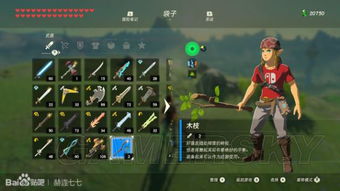 《塞尔达传说》全血月机制深度解析：如何高效刷资源？5大技巧助你事半功倍