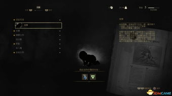 《巫师3》无限刷钱BUG实测：1小时狂揽10000克朗！附独家分步指南与游戏导航