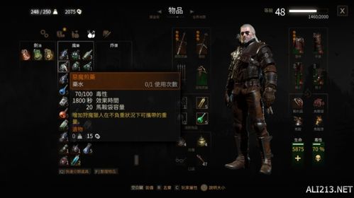 《巫师3》全城镇致富指南：揭秘最佳倒卖商品与隐藏商机｜附游戏导航技巧