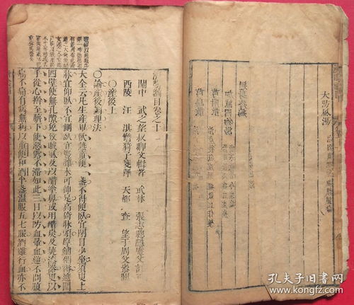 《明末渊虚之羽》望山村谜语门答案解析：专家级攻略与剧情深度解读