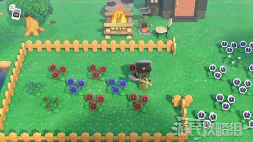 动物森友会杂交花卉全色系攻略：科学育种法一次掌握