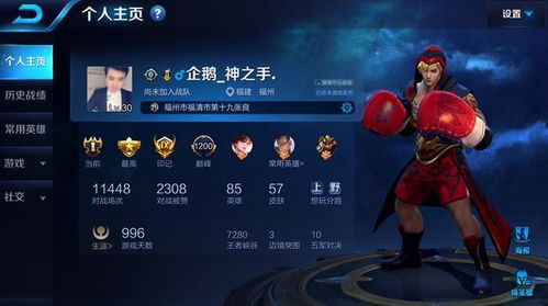 《王者荣耀》新英雄深度解析：技能机制与Counter Builds全攻略