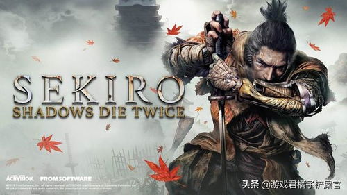 新手必看！《只狼》10大常见错误避坑指南：从菜鸟到剑圣的终极攻略