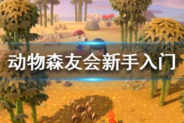 动物森友会新手攻略：无人岛生活哲学与3大核心玩法解析