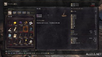 《黑暗之魂3》无名之王终极攻略：5步轻松通关，连招弱点全解析（附最新数据）