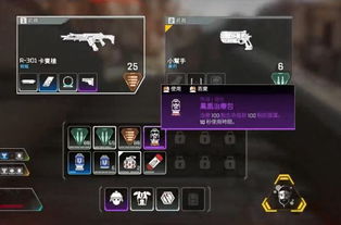 《Apex英雄》英雄等级速升攻略：3天满级秘诀大公开（附实战数据）