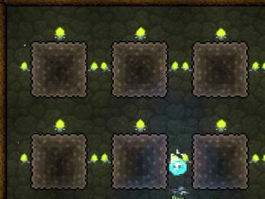 泰拉瑞亚自动农场建造全攻略：高效收割资源的核心技巧揭秘