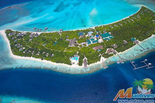 《珊瑚岛》评测：热带岛屿模拟为何成为环保主义新标杆？游戏简介与玩法深度解析