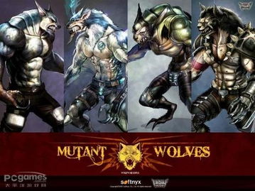 〈只狼〉终极决战解析：剑圣苇名一心为何成为玩家噩梦？