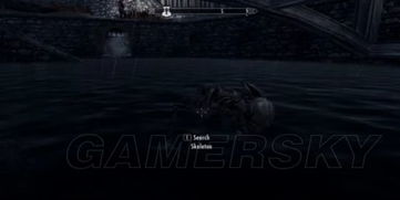 《上古卷轴5》龙祭司终极攻略：揭秘8大隐藏面具与神秘剧情