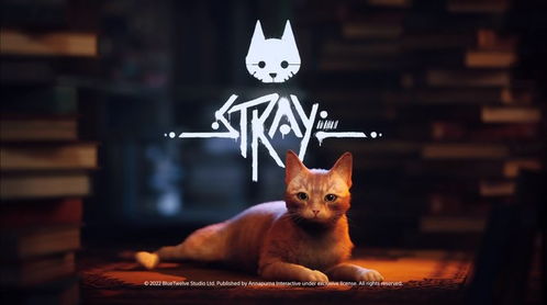 《Stray》游戏深度解析：猫的行为模拟如何重塑解谜体验？