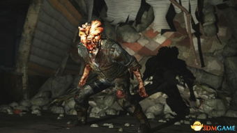 《最后生还者》深度解析:真菌末日下的人性考验与生存策略