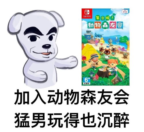 《动物森友会》季节性活动全解析：五分钟掌握节日玩法与隐藏彩蛋