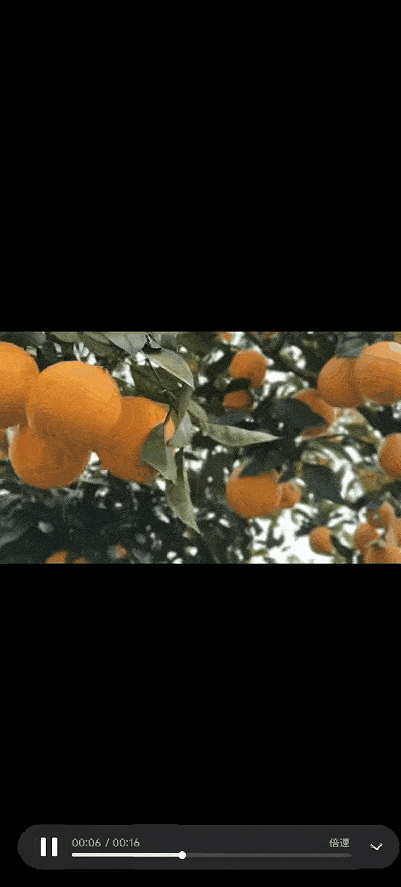 微信8.0.66版本下载安装