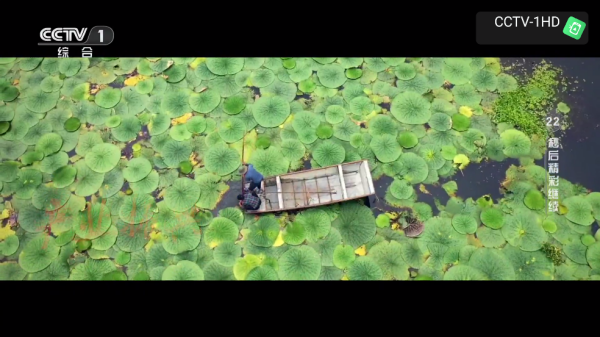 昭昭TV电视软件 昭昭TV电视软件