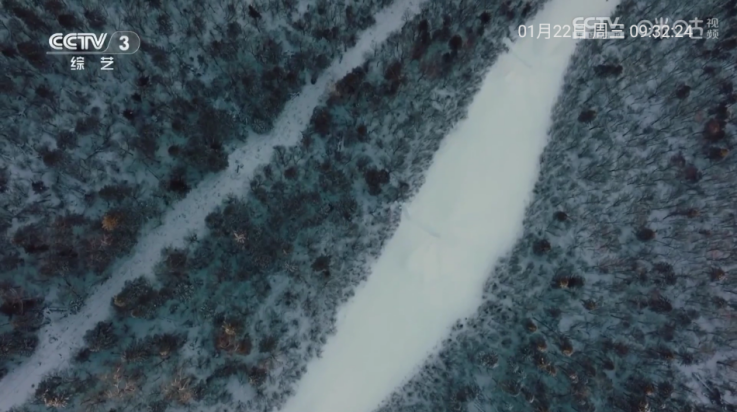 西夏直播tv版(西夏直播2.2.7)