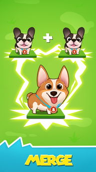 智斗汪星人v1.1.1终极攻略:如何3天通关?