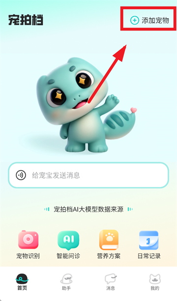 宠拍档app