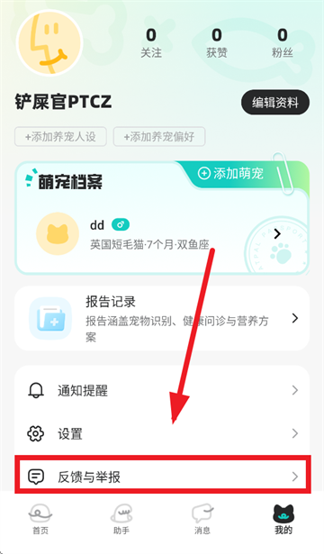 宠拍档app