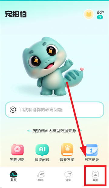 宠拍档app