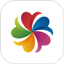 志愿汇app官方版