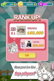 爆炸猫中文版v1.2.3安卓版攻略：如何成为终极赢家？