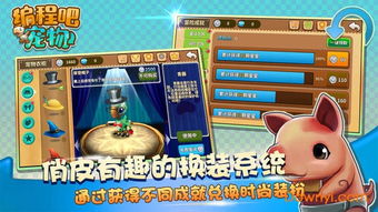 神奇宠物游戏v1.0.0安卓版深度测评：新手进阶必看攻略！