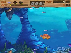 大鱼小鱼大作战 v1.0.2 最新攻略：5大技巧帮你称霸海底世界！