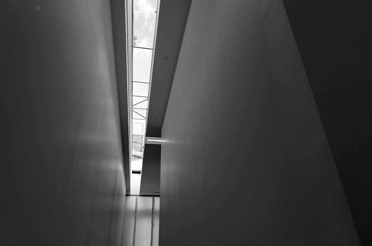 MuseAI安卓版v3.1.0全面升级：智能创作新体验