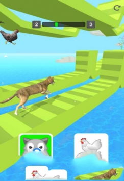 动物变形竞赛v1.0.7最新版攻略：如何快速登顶？