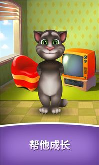 我的汤姆猫QQ登录版V7.4.0.494震撼来袭:全面攻略与最新下载指南